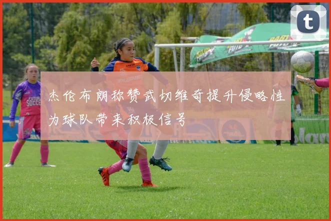 杰伦布朗称赞武切维奇提升侵略性为球队带来积极信号