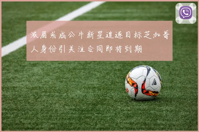 浓眉或成公牛新星追逐目标芝加哥人身份引关注合同即将到期
